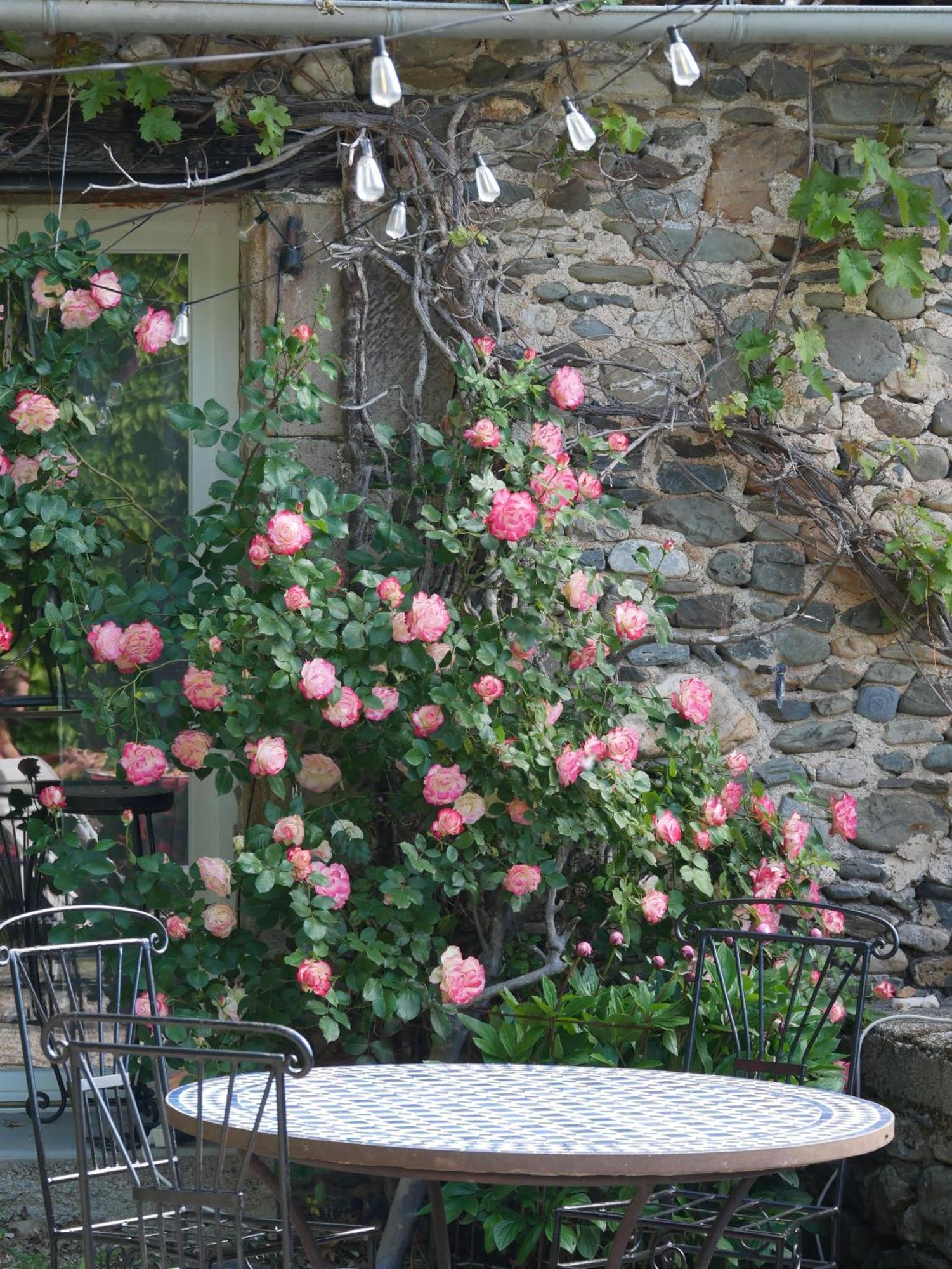 Les Jardins De Lumiere Bed and Breakfast Brusque Εξωτερικό φωτογραφία